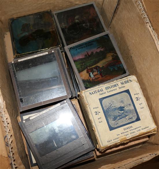 Glass slides(-)